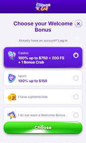 Testimonio sobre el Casino RoboCat